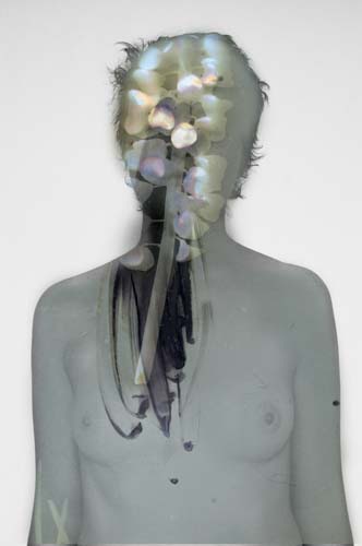 A nude model facing towards the camera has been overlaid with a lumen print, the plant form obscuring her face and upper body.