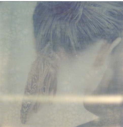 A back view of the neck of a white person, a single feather peeking from their hair and draping down their neck.
